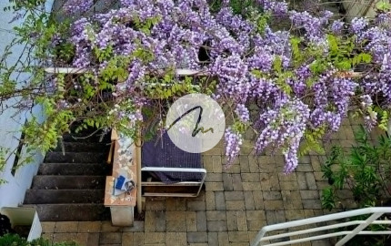 Dom s nekonečným potenciálom: 2 priestranné byty, podnikanie a bývanie vo Vinosadoch