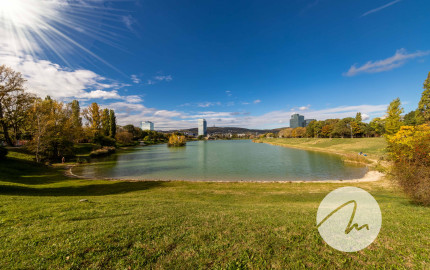 116 m² priestoru v Ružinove + zimná záhrada, garáž, 30 m² sklad