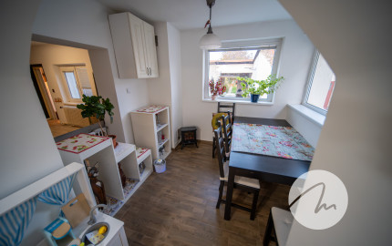Priestor pre rodinu 4-izbový dom, Viničné, pozemok 1 960 m²