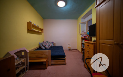 Priestor pre rodinu 4-izbový dom, Viničné, pozemok 1 960 m²