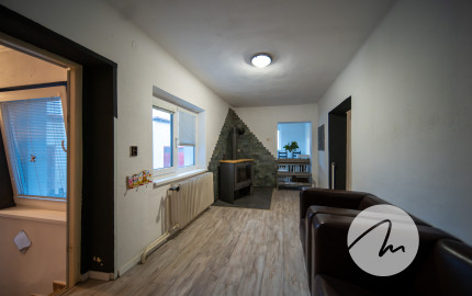 Priestor pre rodinu 4-izbový dom, Viničné, pozemok 1 960 m²