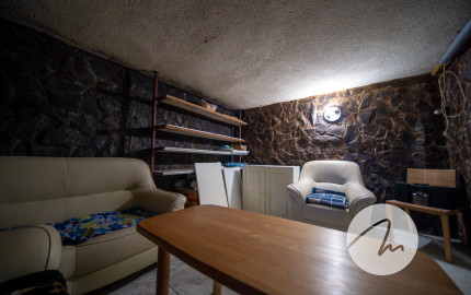 Priestor pre rodinu 4-izbový dom, Viničné, pozemok 1 960 m²