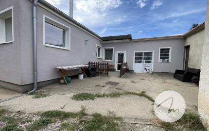 Priestor pre rodinu 4-izbový dom, Viničné, pozemok 1 960 m²