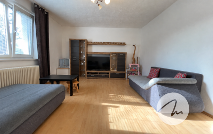 Priestor pre rodinu 4-izbový dom, Viničné, pozemok 1 960 m²