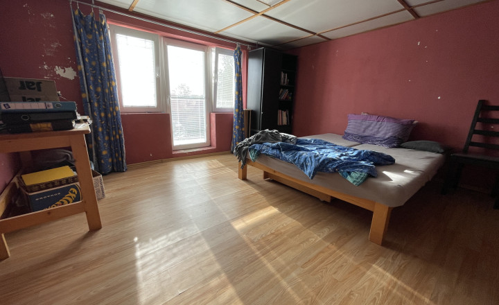 Priestor pre rodinu 4-izbový dom, Viničné, pozemok 1 960 m² - fotografia 11