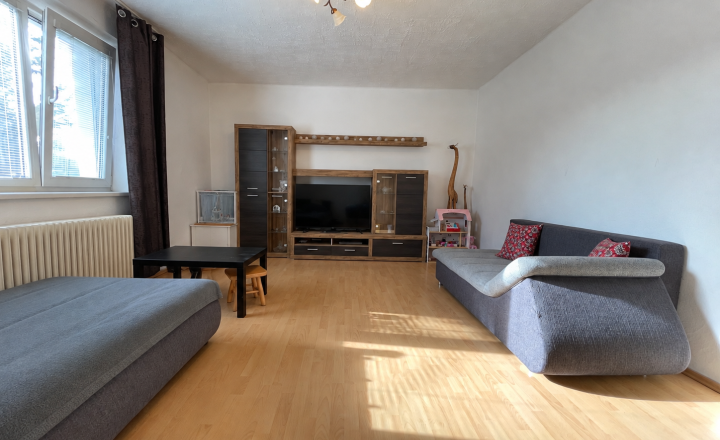 Priestor pre rodinu 4-izbový dom, Viničné, pozemok 1 960 m² - fotografia 5