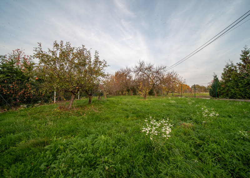 Priestor pre rodinu 4-izbový dom, Viničné, pozemok 1 960 m²