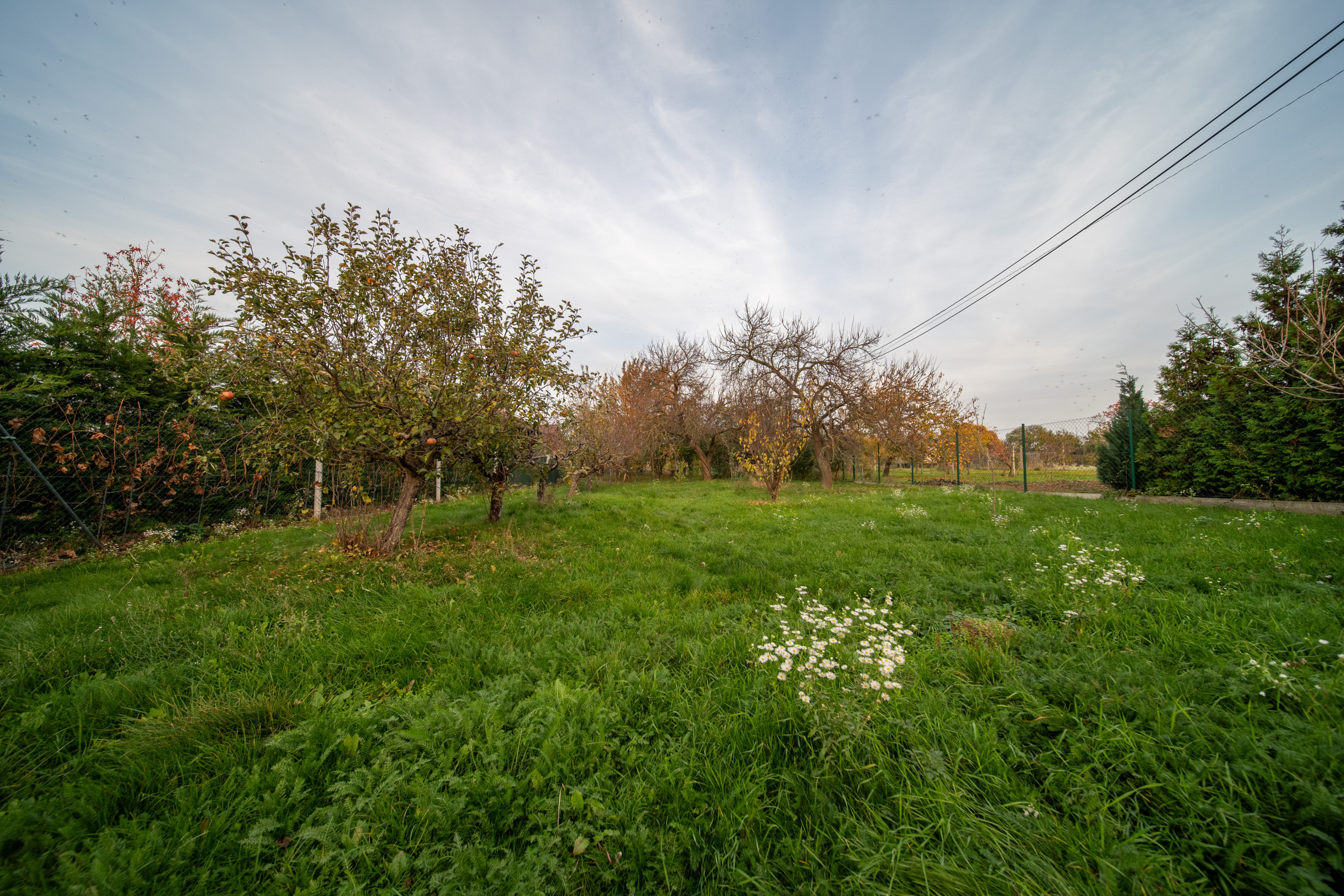 Priestor pre rodinu 4-izbový dom, Viničné, pozemok 1 960 m²